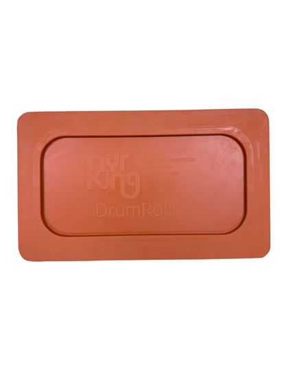 Picture of DR205 Magnetic Silicone Door