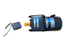 Picture of Gear Motor, S101